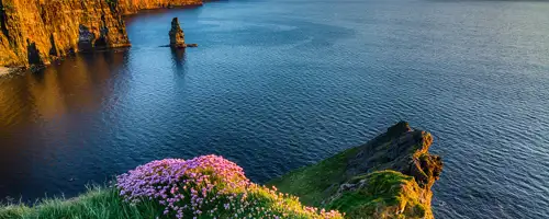 view of the ocean
